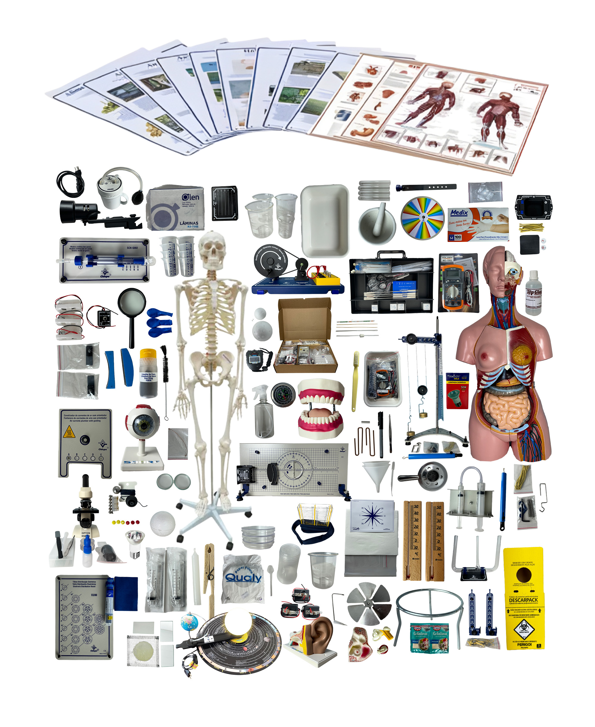 Livros paradidáticos